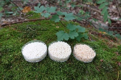 NOVUM項目研發纖維素生物3D打印材料