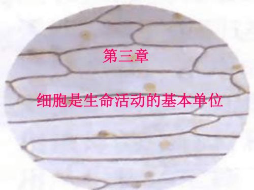 細胞與未來 探索生命的基本單位與生物基材料技術
