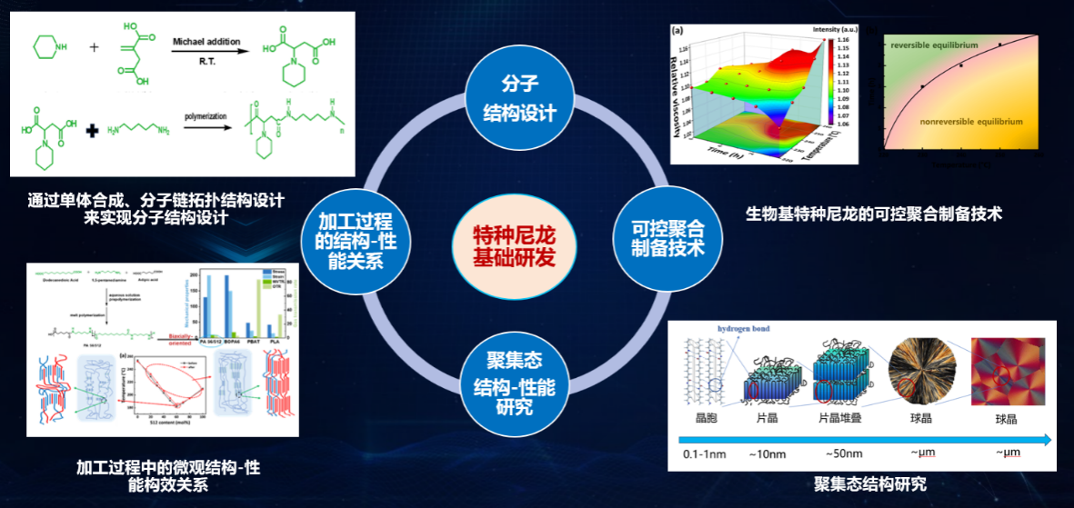 打破國際壟斷，書寫國產新材料新篇章 榕江實驗室生物基尼龍創新團隊榮獲省賽團體組三等獎